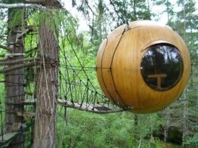 wayne stoute site free spirit spheres